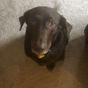 Meet your Posher, Keith